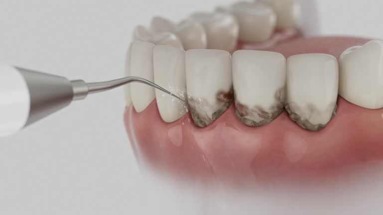 Reliable Dental contractor in Lubeck, WV by Dentist Open Now